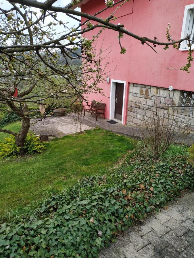 Ferienwohnung Haus Barbara Bad Brückenau 외부 사진